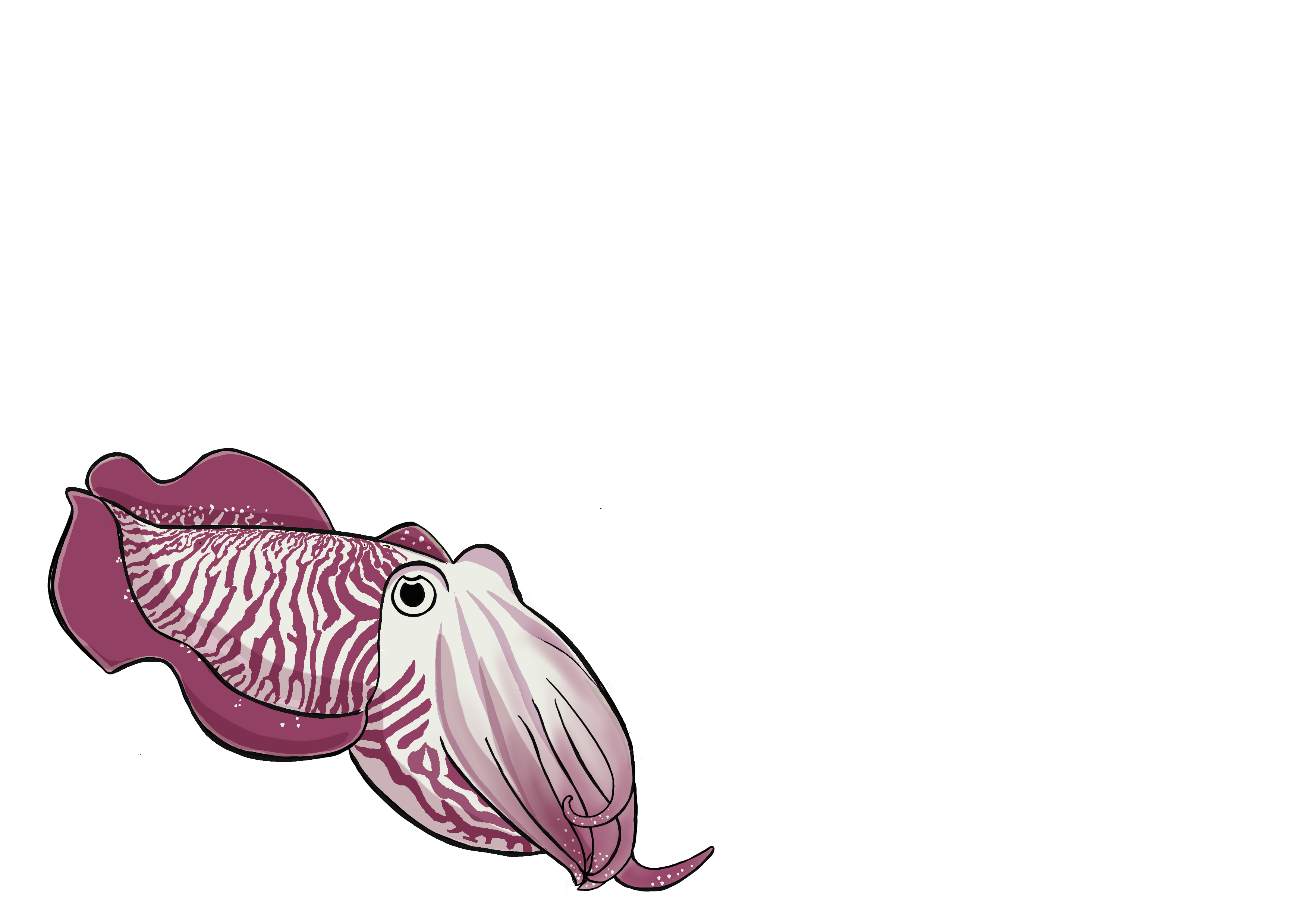 sepia. Técnica digital