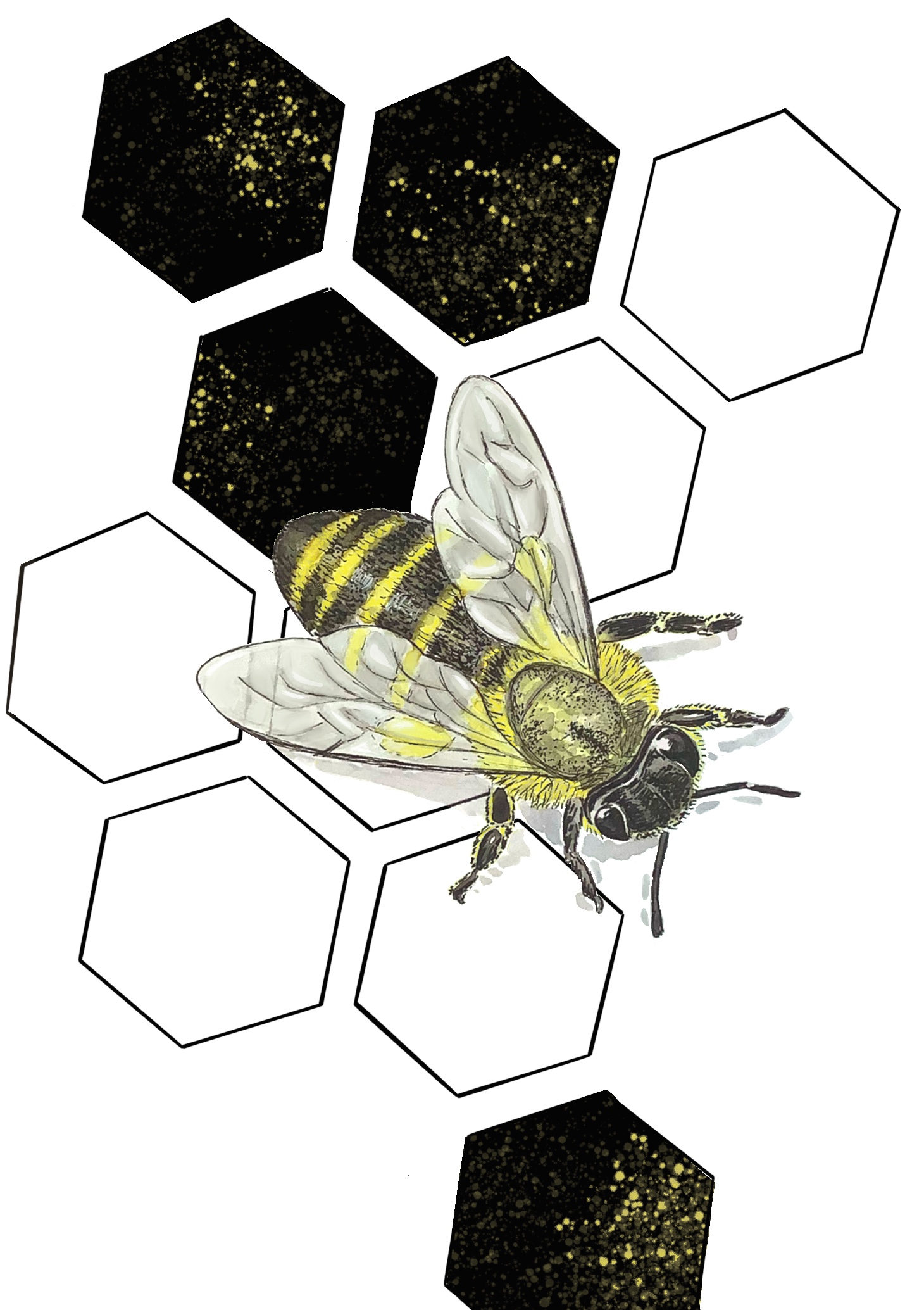 Abeja. Técnica acuarela