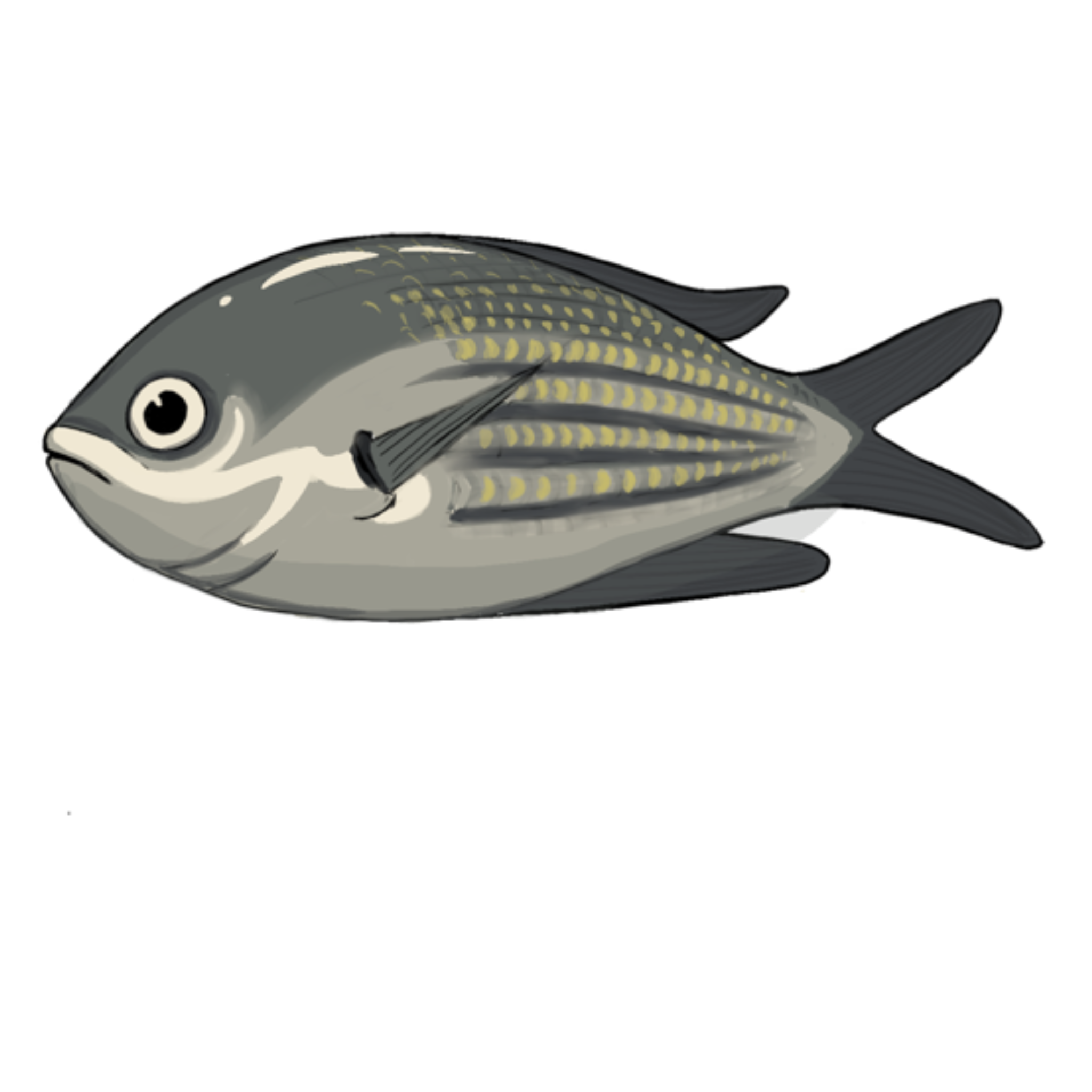 Castañuela. Técnica digital