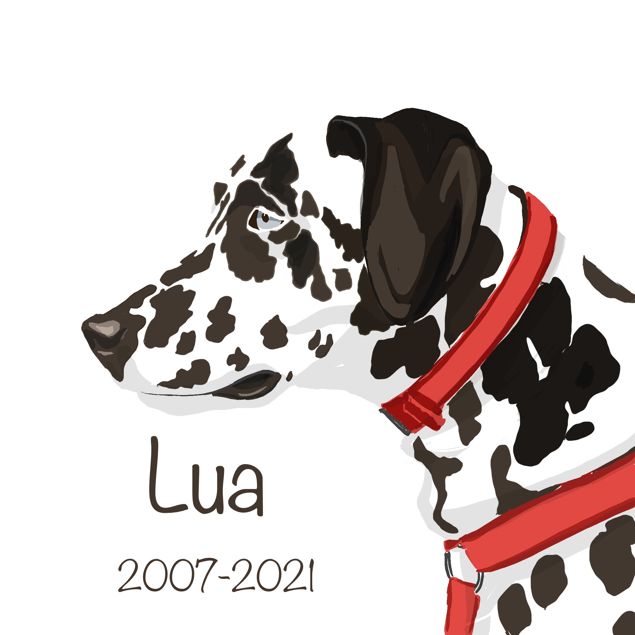 Retrato mascota. Técnica digital