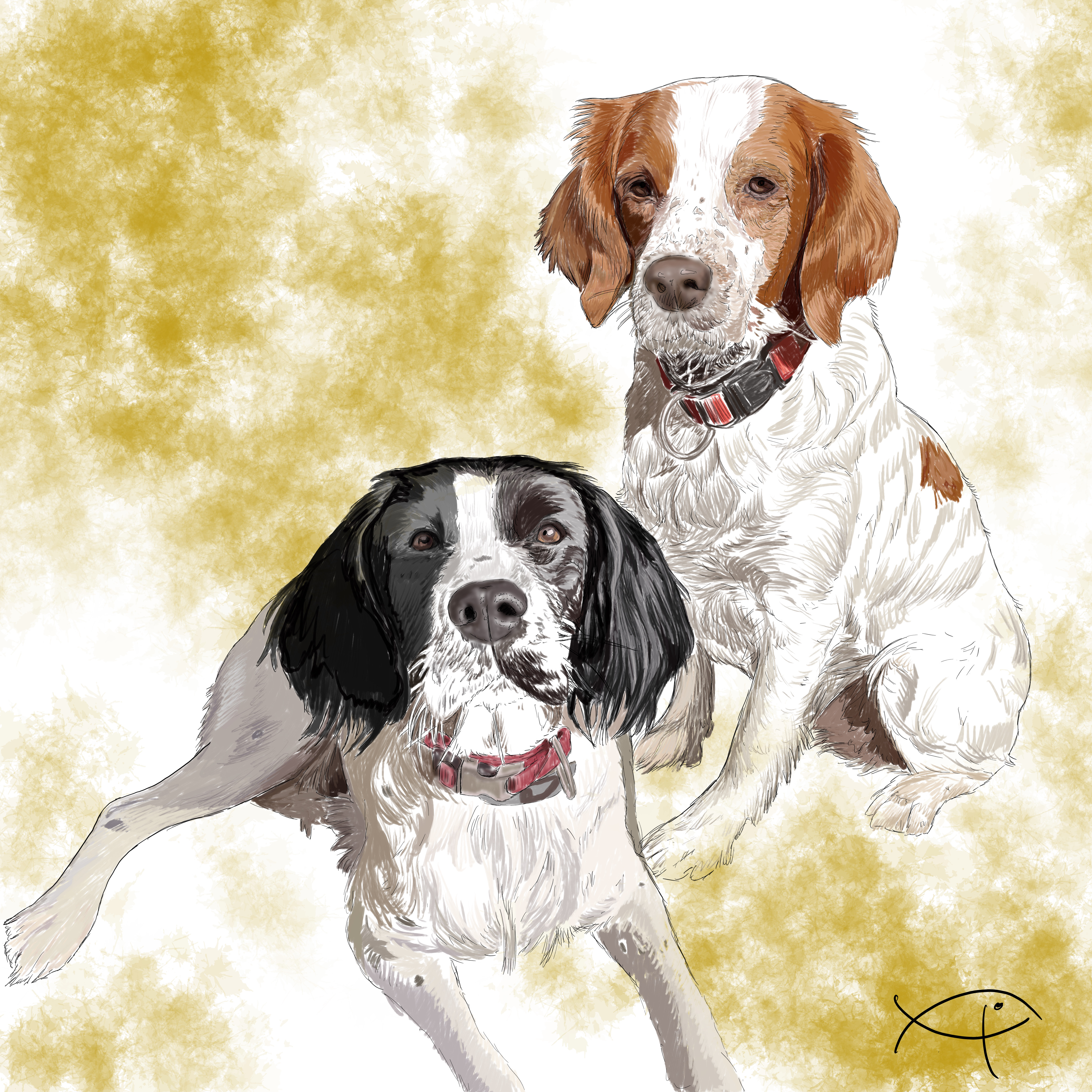 Retrato mascota. Técnica digital